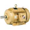 Baldor-Reliance Motor EFM4103T, 25HP, 1770RPM, 3PH, 60HZ, 284T, 1046M, TEFC, F2
