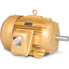 Baldor-Reliance Motor EM4310T, 60HP, 3550RPM, 3PH, 60HZ, 364TS, 1452M, TEFC, F