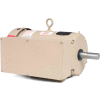 Baldor-Reliance Motor FDL3612TM, 5HP, 1725RPM, 1PH, 60HZ, 184T, 3646LC, TEFC, F1