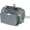 Baldor-Reliance Motor L1177T, 15HP, 1760RPM, 1PH, 60HZ, 254T, 0956LC, TEFC, F