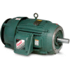 Baldor-Reliance Severe Duty Motor, VECP2332T, 3 PH, 10 HP, 230/460 V, 1180 RPM, TEFC, 256TC Frame