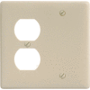 Bryant NP138I Blank Duplex Combo Plate, 2-Gang, Standard, Ivory Nylon