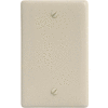 Bryant NP13I Box Mounted Blank Plate, 1-Gang, Standard, Ivory Nylon