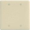 Bryant NP23AL Box Mounted Blank Plate, 2-Gang, Standard, Almond Nylon
