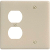 Bryant NPJ138I Blank Duplex Combo Plate, 2-Gang, Mid-Size, Ivory Nylon