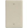 Bryant NPJ13I Box Mounted Blank Plate, 1-Gang, Mid-Size, Ivory Nylon