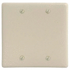 Bryant NPJ23I Box Mounted Blank Plate, 2-Gang, Mid-Size, Ivory Nylon