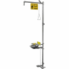 Bradley® All SS Hand/ Foot Operated Eye-Face Wash - S19314SS