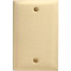 Bryant SB13 Box Mounted Blank Plate, 1-Gang, Standard, Brass