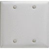 Bryant SS23 Box Mounted Blank Plate, 2-Gang, Standard, Satin Stainless