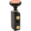 Buyers Pneumatic Air Valve, BAV015, 1/4", 5-Port, 3-Position Detented, 4-Way Air Valve