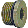 Buyers Straight Thread O-Ring Hex Socket Plug, H7238x4, 1/4" Port Size - Min Qty 90