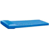 Cortech USA - C453075P - Standard Correctional Tech Mattress - Blue - 4.5" x 30" x 75" with Pillows