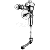 Delany F576-1 Concealed Flushboy Flush Valve For Stainless Steel Fixture W/13-1/2" Rough In, 1.0 GPF