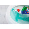 Clorox&#174; Toilet Bowl Cleaner w/Bleach, Fresh 12 Bottles/Case - COX00031CT
																			
