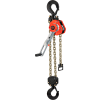 CM Tornado 360° Ratchet Lever Hoist 6 Ton Capacity 5' Lift