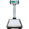 Adam Equipment CPWplus 35P Digital Bench Scale with Indicator Stand, 75 lb x 0.02 lb