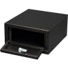 Datum Argos Pistol Safe WMC-1-059511H-WS25 - 9-1/2"W x 11"D x 5"H, 2 Pistol Cap. Hasp Lock, Stealth