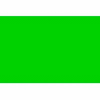 Standard Green 2" x 4"