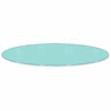 30" Diameter Glass Shelf Topper For Round Racks - Clear - Pkg Qty 2