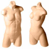 Ladies' Active Wear Torso Form