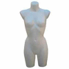 Female 3/4 Torso, No Arms - Milky White