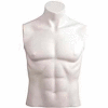 Male Bust w/out Head - Size 40 - White