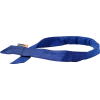 Ergodyne® Chill-Its® 6705FR Evaporative FR Cooling Bandana, Hook & Loop, Blue - Pkg Qty 6