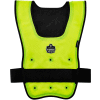 Ergodyne® Chill-Its® 6687 Economy Dry Evaporative Cooling Vest, Lime, L/XL, 12685