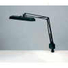 Electrix 7227 Fluorescent Clamp-On Lamp, 45" Reach Swing Arm, 120V, 15x2W