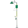 Haws® AXION® MSR, 8317, Combination Eye/Face Wash and Shower, No Receptor