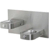 Halsey Taylor Contour™ Bi-Level Barrier-Free Fountain, HDF-BLEBP FTN
