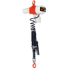 ED Cylinder Control Dual Speed Electric Hoist - 220 lbs, 6' Lift, 43/10 ft/min, 120V