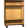 Mobile Wood Wardrobe Cabinet, Open Front, 48"W x 22-1/4"D x 66"H, Folkstone/Grey