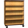 Mobile Wood Double-Faced Bookcase, Open Front, 48"W x 22-1/4"D x 66"H, Natural Oak/Brown