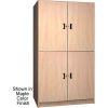 Ironwood 2 Compartment Wardrobe Storage Cabinet Solid Door, Cactus Star Color