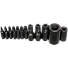 Torx Bit Set, 1/4" & 3/8" Drive, T10 to T55, 10 Piece