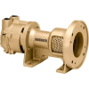 Dekker DV0200D-KA3 Liquid Ring Vacuum Pump, 200 ACFM, 15HP
