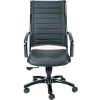 Eurotech Europa Executive High Back Chair - Black Leather - Non-Adjustable Arms