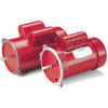 Leeson Motors Single Phase Farm Ag Motor 1/2HP, 1425RPM, 48, TEFC, 110/220V, 1/20HZ, Manual