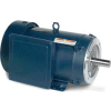 Leeson Motors - 10HP, 230V, 1740RPM, TEFC, Rigid C Mount, 1.15 S.F.