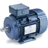 Leeson Motors Motor IEC Metric Motor-5.5HP, 230/460V, 1180/975RPM, IP55, B3, 1.15 SF, 87.5 Eff.