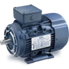 Leeson Motors Motor IEC Metric Motor-5.5HP, 230/460V, 1180/975RPM, IP55, B3/B14, 1.15 SF, 87.5 Eff.