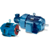 Leeson Motors 3-Phase Inverter Duty Motor 250HP,1790RPM, 3PH,60HZ,Tstat,40C,1.0SF,Rigid