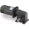 Leeson M1115021.00, 1/17 HP, 250 RPM, 90VDC, TENV, 10, 10:1 Ratio, 10 In-Lbs