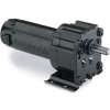 Leeson M1115025.00, 1/20 HP, 9 RPM, 90VDC, TENV, P300, 216:1 Ratio, 268 In-Lbs
