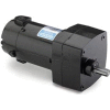 Leeson M1125003.00, 1/17 HP, 60 RPM, 90VDC, TENV, PZ, 30:1 Ratio, 56 In-Lbs