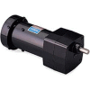 Leeson M1125132.00, 1/15 HP, 142 RPM, 115V, 1-Phase, TEFC, PZ, 12:1 Ratio, 24 In-Lbs