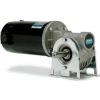 Leeson M1135294.00, 1/4 HP, 167 RPM, 12VDC, TENV, 512, 10.6:1 Ratio, 61 In-Lbs