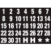 Magnetic Headings Calendar Dates (1-31), White on Black